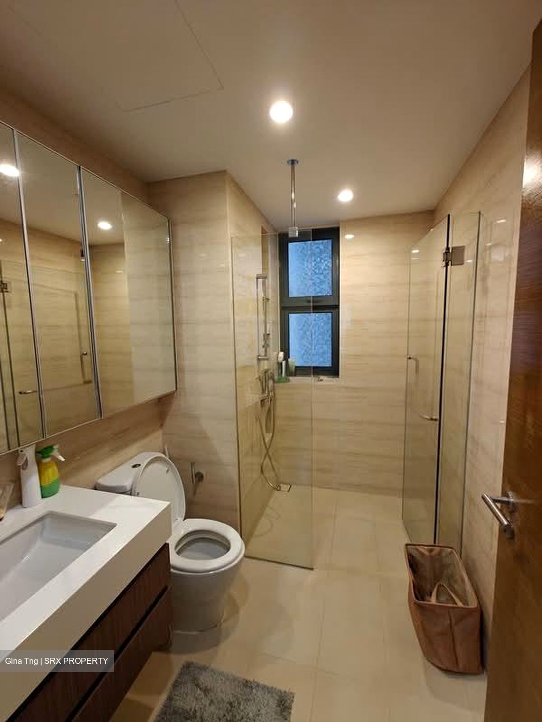 The Palette (D18), Condominium #571088991
